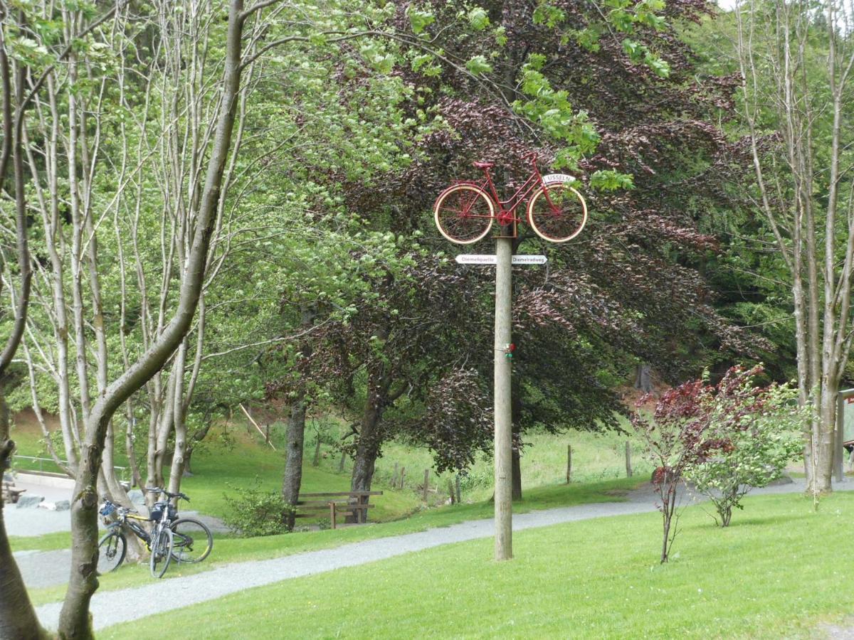 Ferienwohnungen Westfalenhof Willingen  Zewnętrze zdjęcie