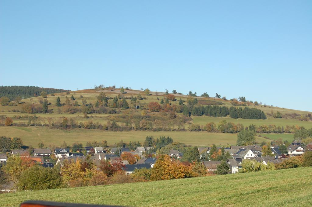 Ferienwohnungen Westfalenhof Willingen  Zewnętrze zdjęcie