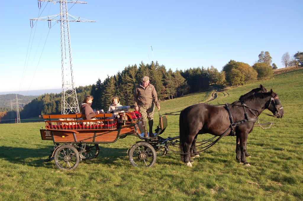 Ferienwohnungen Westfalenhof Willingen  Zewnętrze zdjęcie